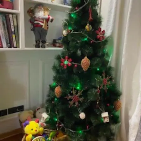 Prostrani U Istorijskom Centru Grada Anna Daire